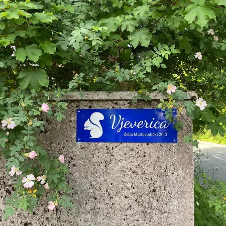 Vjeverica * Zelin Mrzlovodicki