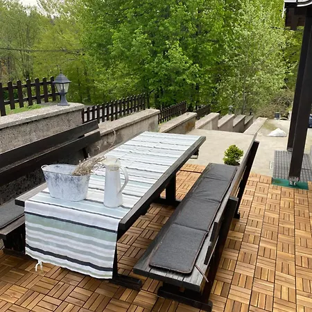 Vjeverica * Zelin Mrzlovodicki