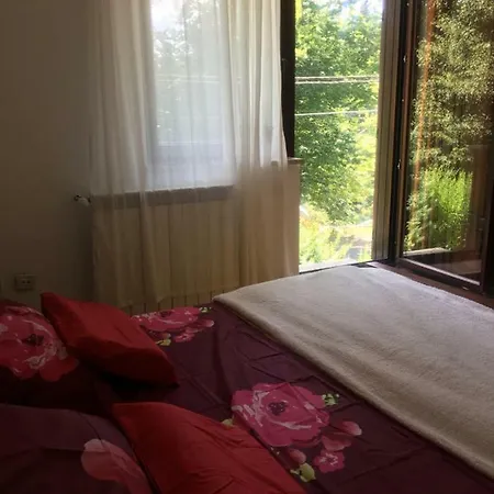 Vjeverica Daire Zelin Mrzlovodicki