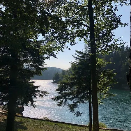 Vjeverica Zelin Mrzlovodicki