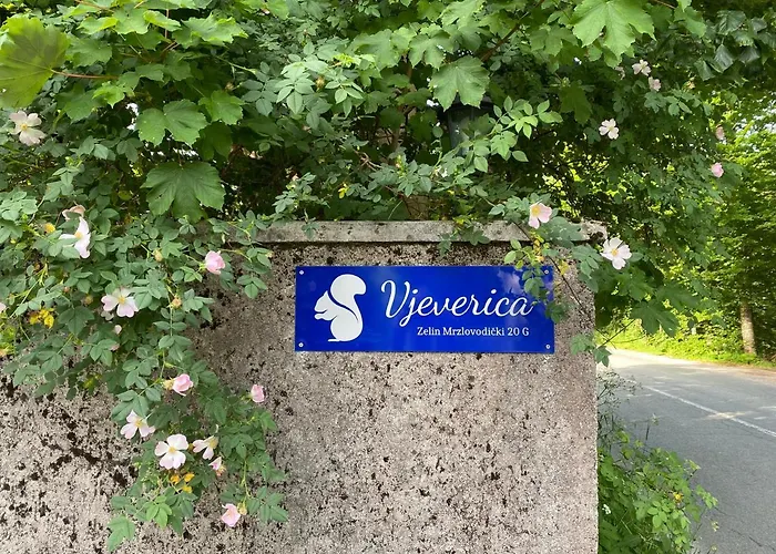 Vjeverica * Zelin Mrzlovodicki