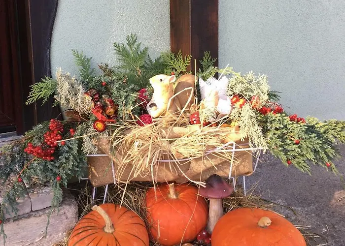 Vjeverica Appartamento