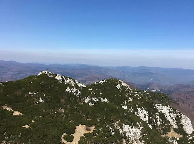 Vjeverica Appartamento